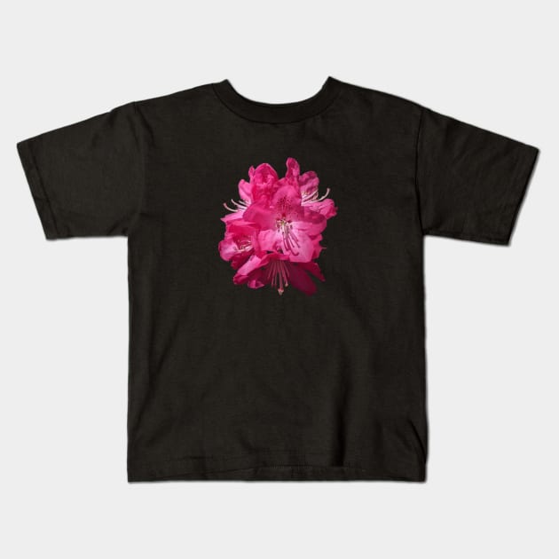 Pink Rhododendrons Kids T-Shirt by PLANTONE